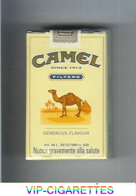 Camel Filter Generous Flavour cigarettes soft box