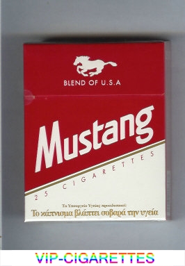 Mustang Blend of USA 25 cigarettes hard box
