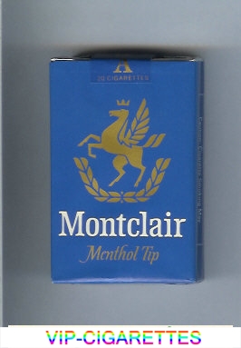 Montclair Menthol Tip Cigarettes soft box