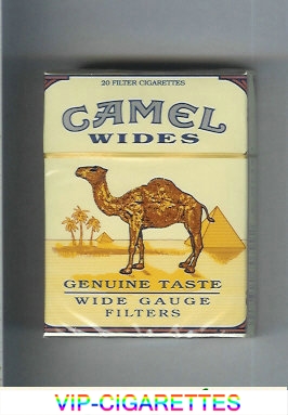 Camel Wides Filters Genuine Taste Wide Gauge cigarettes hard box