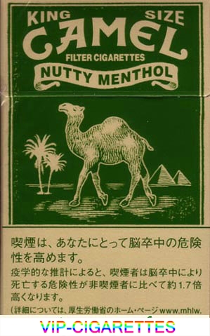Camel Nutty Menthol cigarettes hard box
