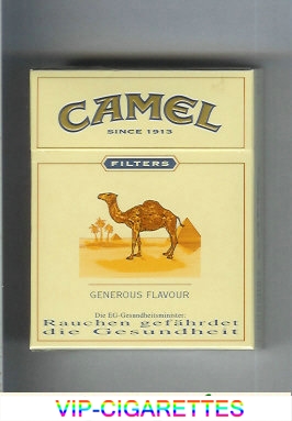Camel Filter Generous Flavour cigarettes hard box