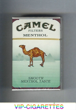 Camel Menthol Filters Smoosh Menthol Taste cigarettes hard box