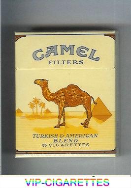 Camel Filters cigarettes king size hard box