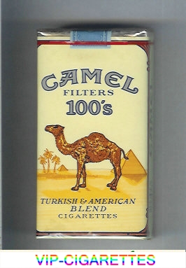 Camel Filters 100s cigarettes soft box