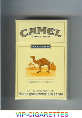 Camel Filter Generous Flavour cigarettes King size hard box