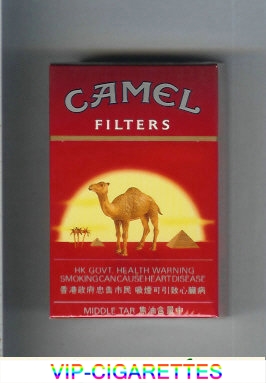  In Stock Camel with sun Filters cigarettes Hard box Online