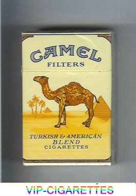 Camel Filters cigarettes hard box