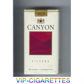 Canyon Filter 100s cigarettes