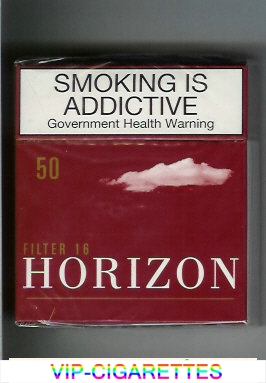 Horizon Filter 16 brown 50s cigarettes hard box