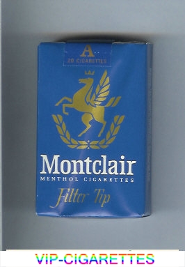 Montclair Filter Tip Menthol Cigarettes soft box