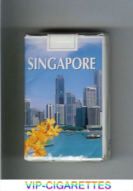 Mild Seven Singapore Lights cigarettes soft box