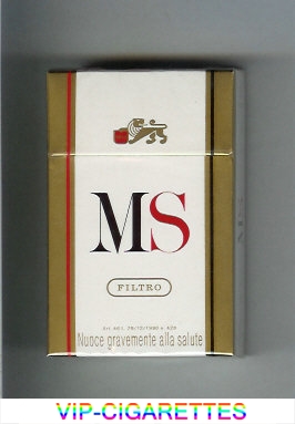 MS Filtro cigarettes hard box