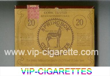 Springbok Cork Tipped cigarettes wide flat hard box